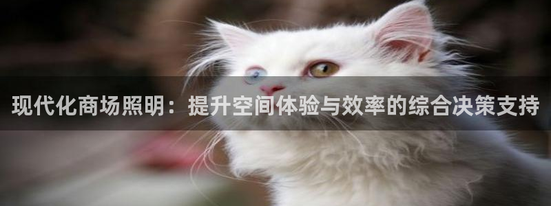 现代化商场照明：提升空间体验与效率的综合决策支持