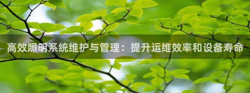高效照明系统维护与管理:提升运维效率和设备寿命