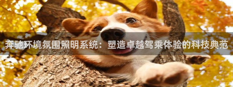 奔驰环境氛围照明系统:塑造卓越驾乘体验的科技典范