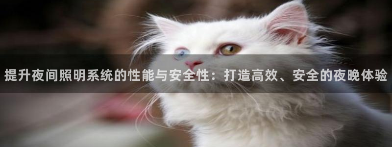 提升夜间照明系统的性能与安全性：打造高效、安全的夜晚体验