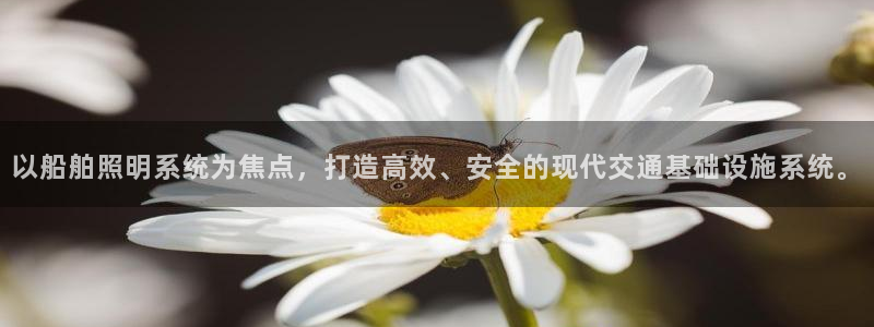 以船舶照明系统为焦点,打造高效、安全的现代交通基础设施系统。