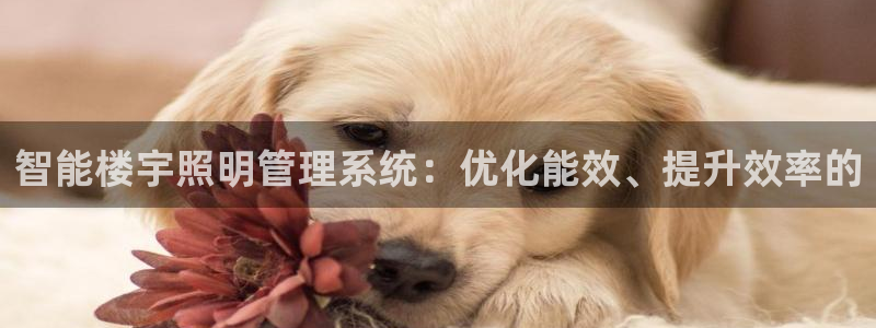 智能楼宇照明管理系统:优化能效、提升效率的