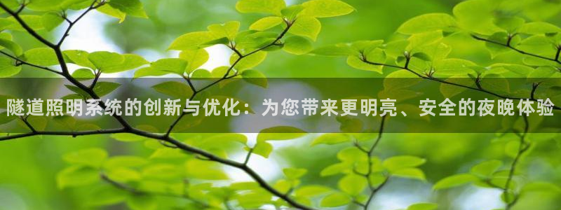 隧道照明系统的创新与优化：为您带来更明亮、安全的夜晚体验