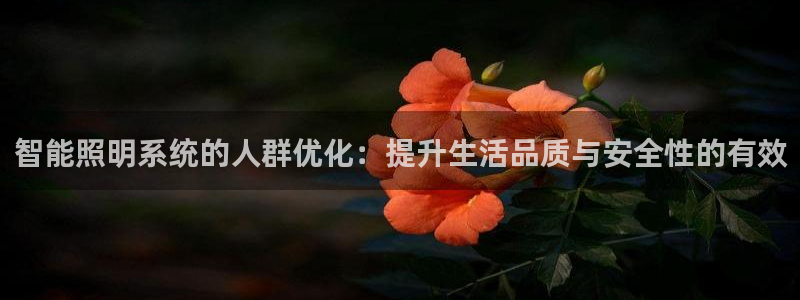 智能照明系统的人群优化：提升生活品质与安全性的有效