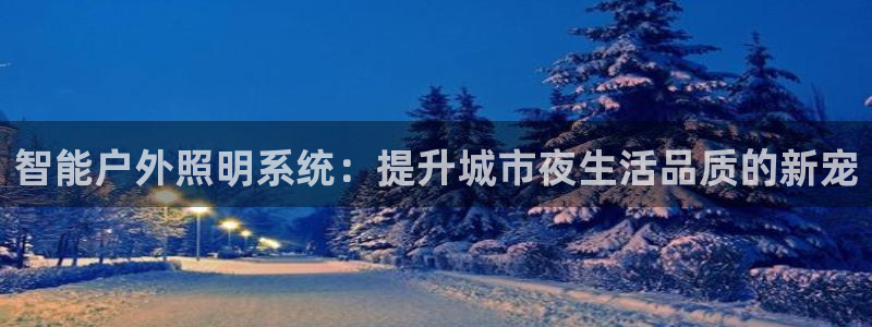 智能户外照明系统：提升城市夜生活品质的新宠