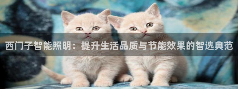 西门子智能照明：提升生活品质与节能效果的智选典范