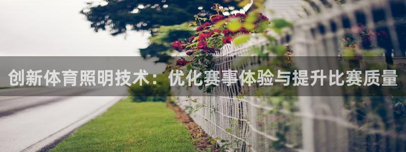 创新体育照明技术:优化赛事体验与提升比赛质量