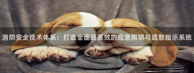 消防安全技术体系：打造全面且高效的应急照明与疏散指示系统