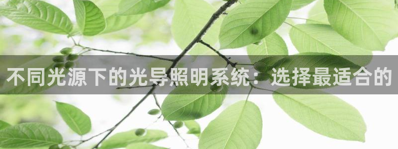 不同光源下的光导照明系统：选择最适合的