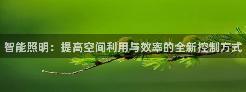 智能照明：提高空间利用与效率的全新控制方式