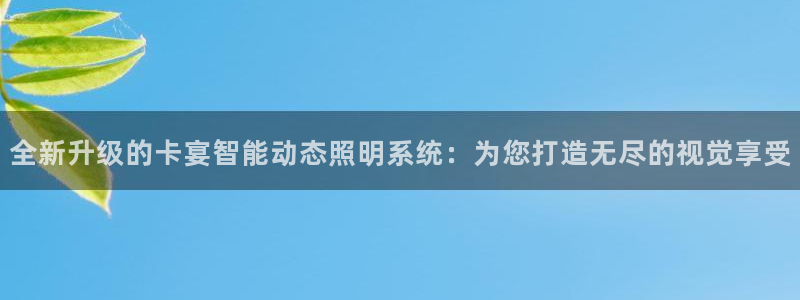 全新升级的卡宴智能动态照明系统：为您打造