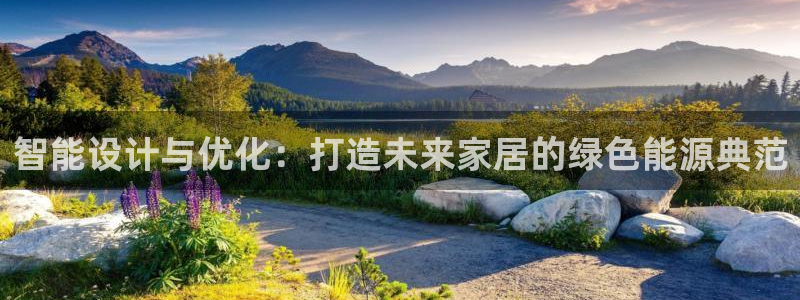 智能设计与优化：打造未来家居的绿色能源典