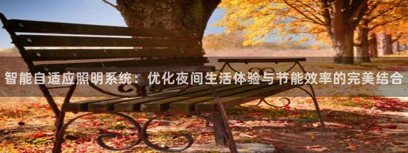 智能自适应照明系统：优化夜间生活体验与节能效率的完美结合