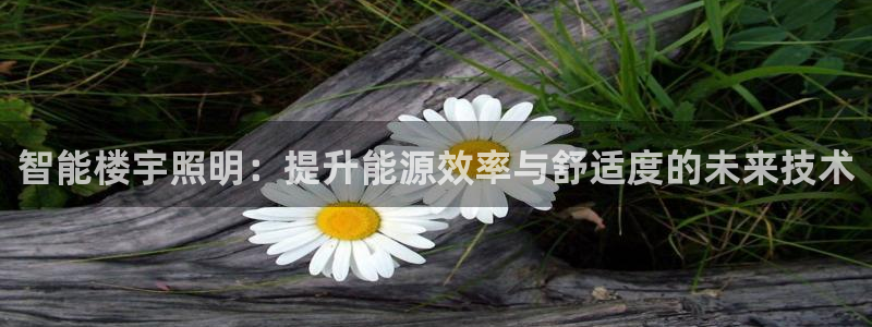 智能楼宇照明:提升能源效率与舒适度的未来技术
