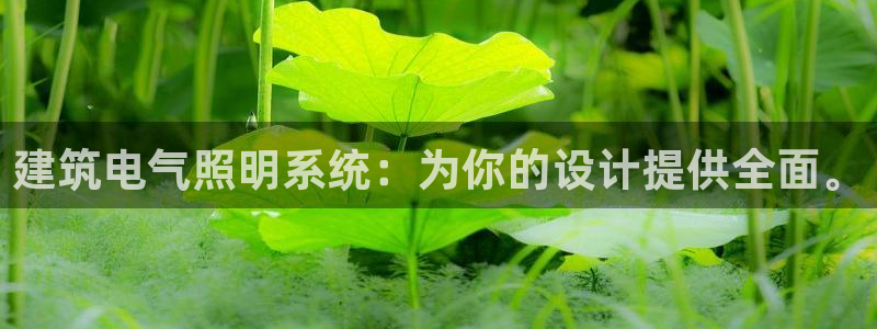 建筑电气照明系统：为你的设计提供全面。