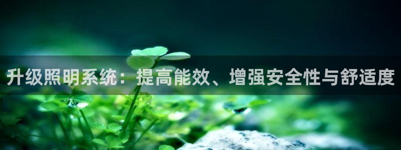 升级照明系统：提高能效、增强安全性与舒适度