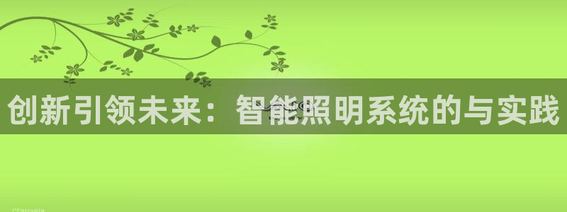 创新引领未来：智能照明系统的与实践