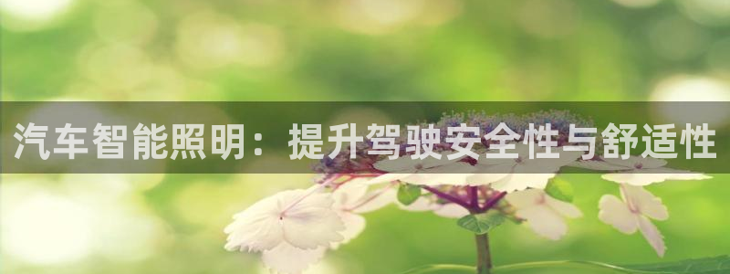 汽车智能照明：提升驾驶安全性与舒适性