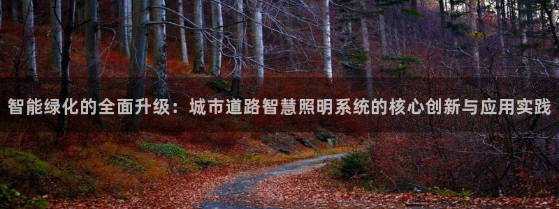 智能绿化的全面升级：城市道路智慧照明系统的核心创新与应用实践