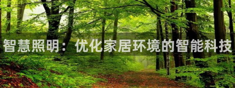 智慧照明：优化家居环境的智能科技