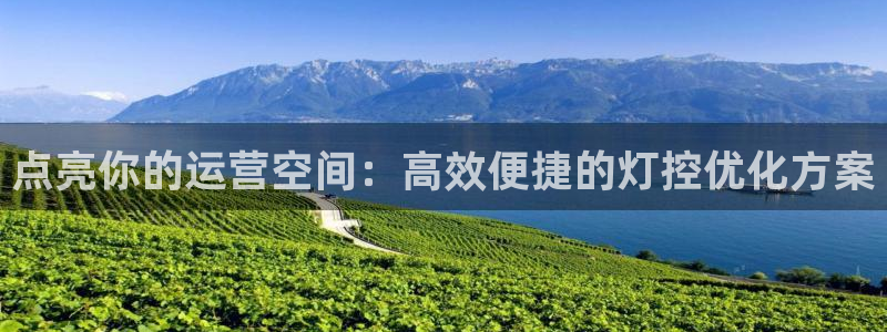 点亮你的运营空间：高效便捷的灯控优化方案