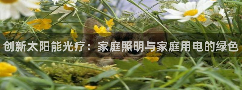创新太阳能光疗：家庭照明与家庭用电的绿色