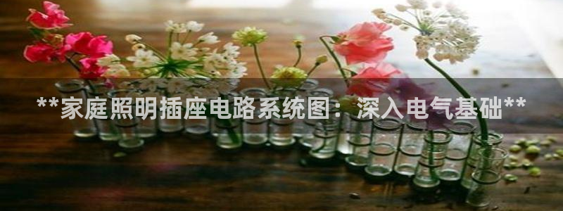 **家庭照明插座电路系统图：深入电气基础**