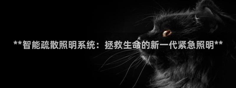 **智能疏散照明系统：拯救生命的新一代紧急照明**