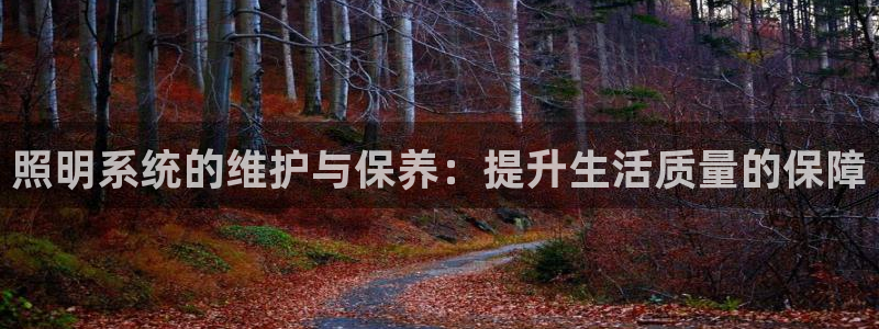 照明系统的维护与保养：提升生活质量的保障