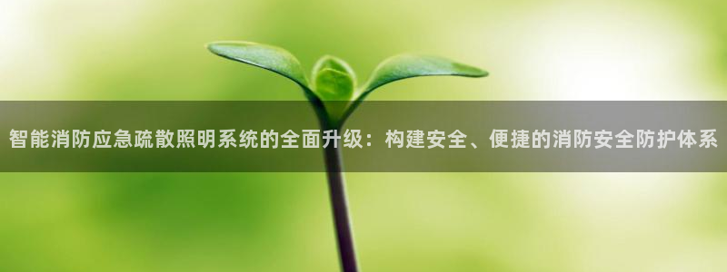 智能消防应急疏散照明系统的全面升级：构建安全、便捷的消防安全防护体系
