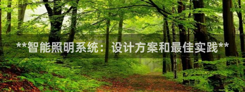 **智能照明系统：设计方案和最佳实践**