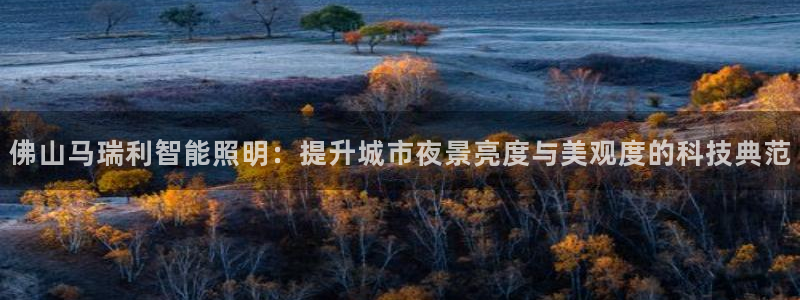 佛山马瑞利智能照明：提升城市夜景亮度与美观度的科技典范