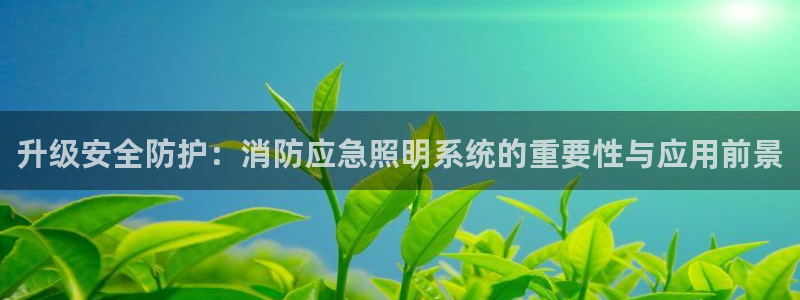 升级安全防护：消防应急照明系统的重要性与应用前景