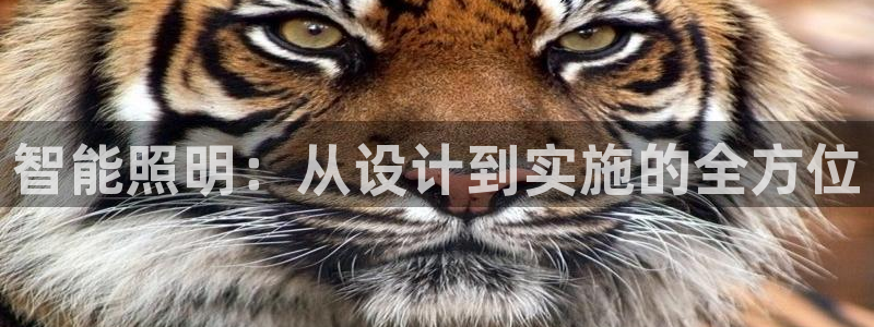 智能照明：从设计到实施的全方位