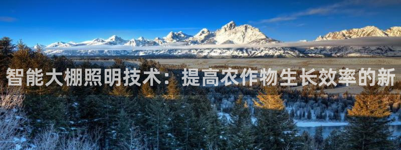 智能大棚照明技术：提高农作物生长效率的新