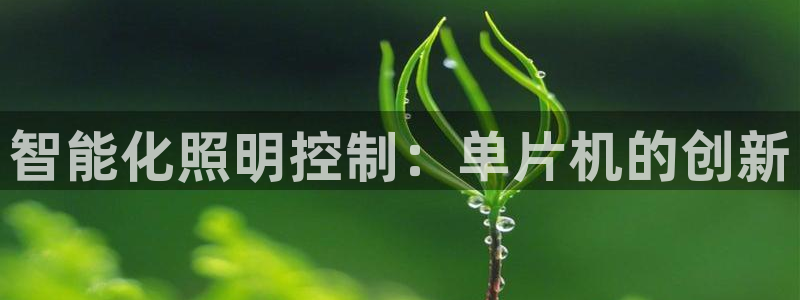智能化照明控制：单片机的创新