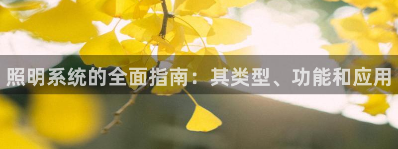 照明系统的全面指南：其类型、功能和应用