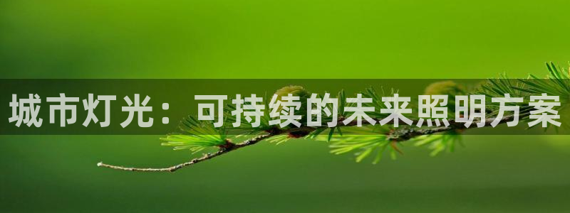 城市灯光：可持续的未来照明方案