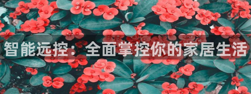 智能远控：全面掌控你的家居生活