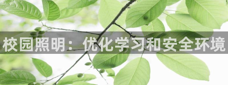 校园照明：优化学习和安全环境