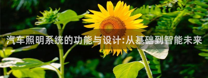 汽车照明系统的功能与设计:从基础到智能未来