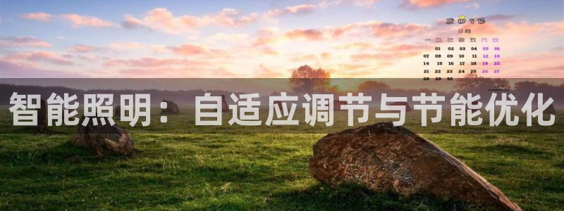 智能照明：自适应调节与节能优化