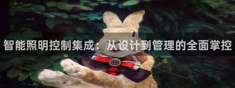 智能照明控制集成：从设计到管理的全面掌控