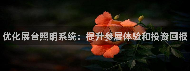 优化展台照明系统：提升参展体验和投资回报