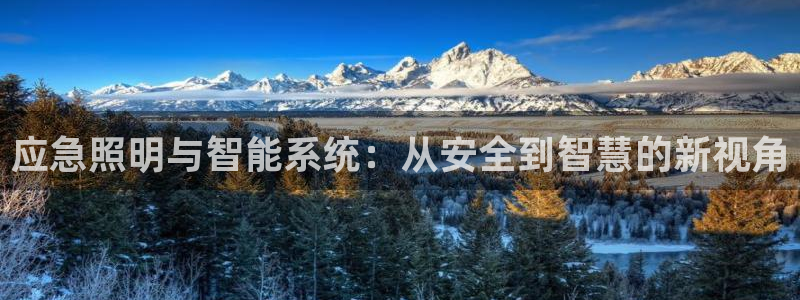 应急照明与智能系统：从安全到智慧的新视角