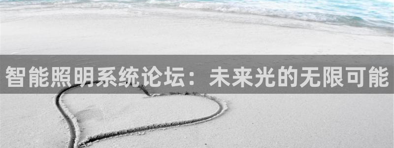 智能照明系统论坛：未来光的无限可能