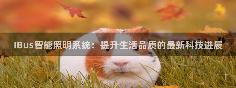 IBus智能照明系统：提升生活品质的最新科技进展