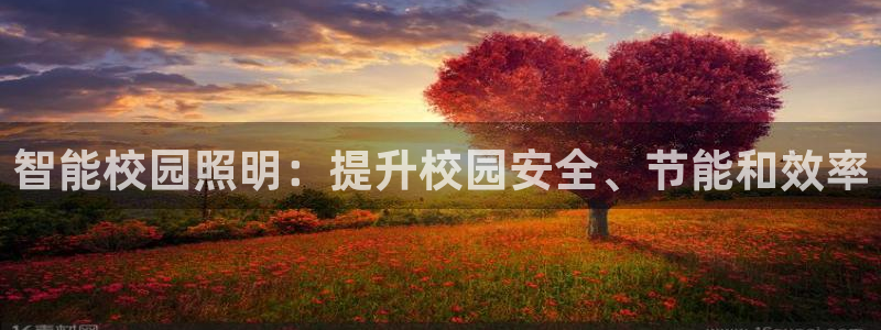 智能校园照明：提升校园安全、节能和效率