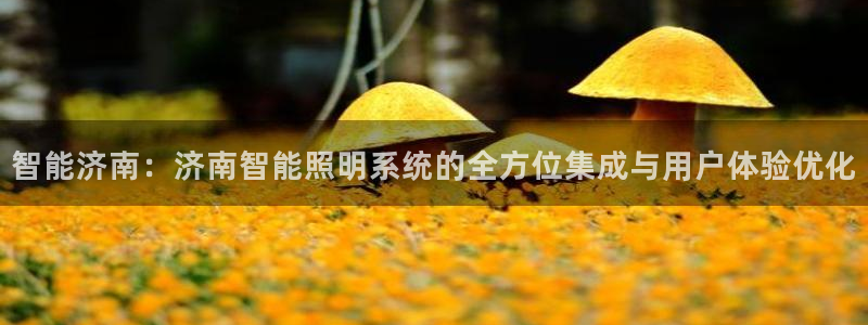 智能济南：济南智能照明系统的全方位集成与用户体验优化