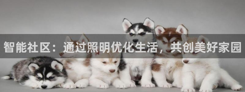 智能社区：通过照明优化生活，共创美好家园